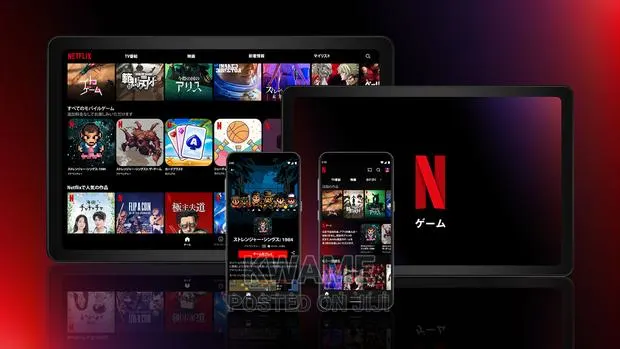 Netflix Premium Account · Photo 1