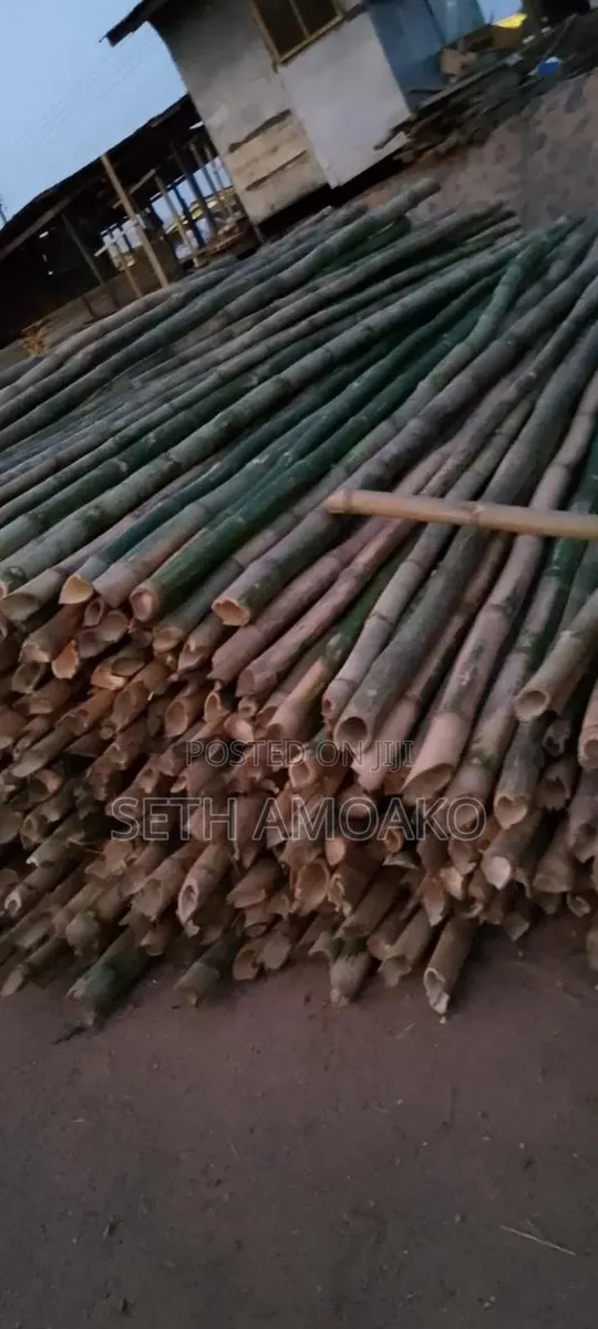 Good Work Done (Bamboo) · Photo 1