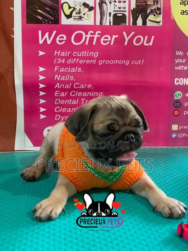 Pug Life Clothings · Photo 2