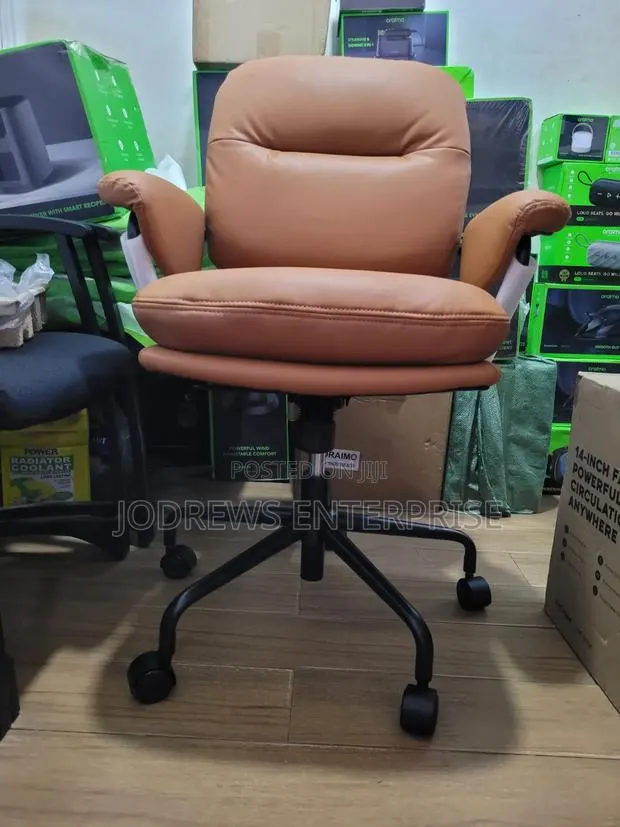 Oraimo Softnest Double-Layer Cushioning Office Chair · Photo 1