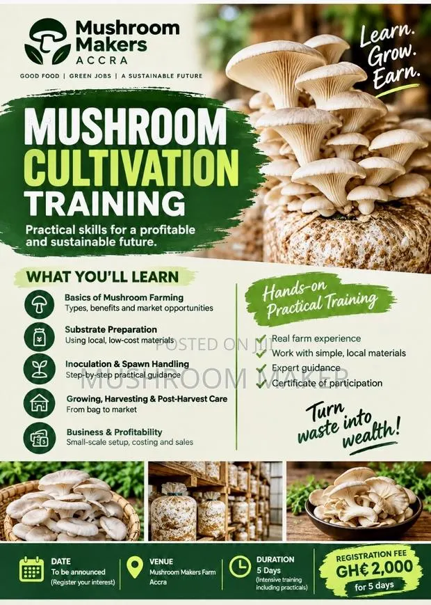 Oyster Mushroom Training · Photo 1