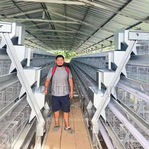 Chicken Cage Layers/System/Battery/Automatic/a H · Photo 1