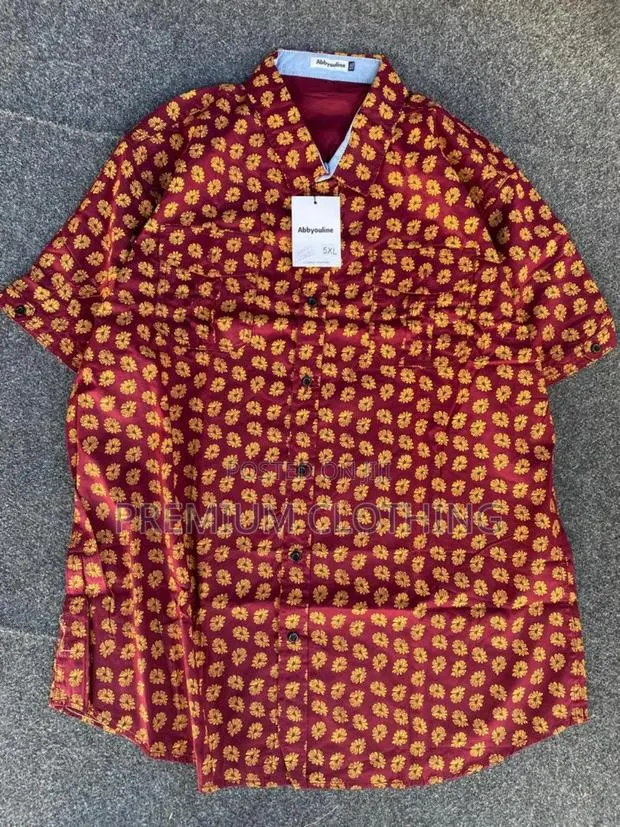 Plus Size Short Sleeves for Men · Photo 1