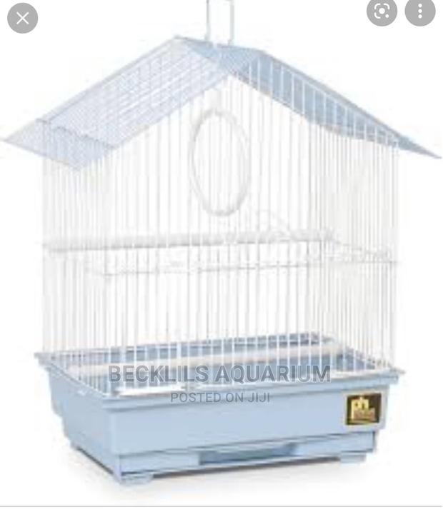 Quality Mini Bird Cages · Photo 2