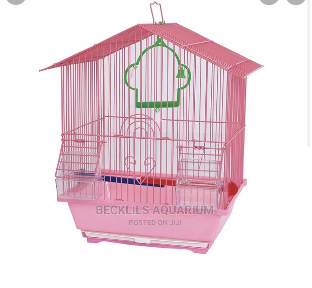 Quality Mini Bird Cages · Photo 1