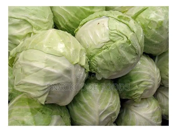 Cabbage White · Photo 1