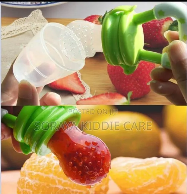 Baby Fruit Feeder · Photo 1