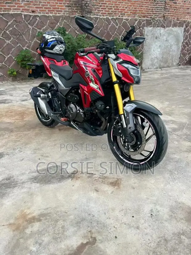 Haojue DR300 2025 Red · Photo 1