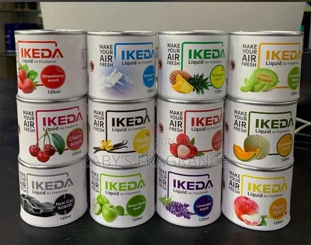 Ikeda Diffuser · Photo 1