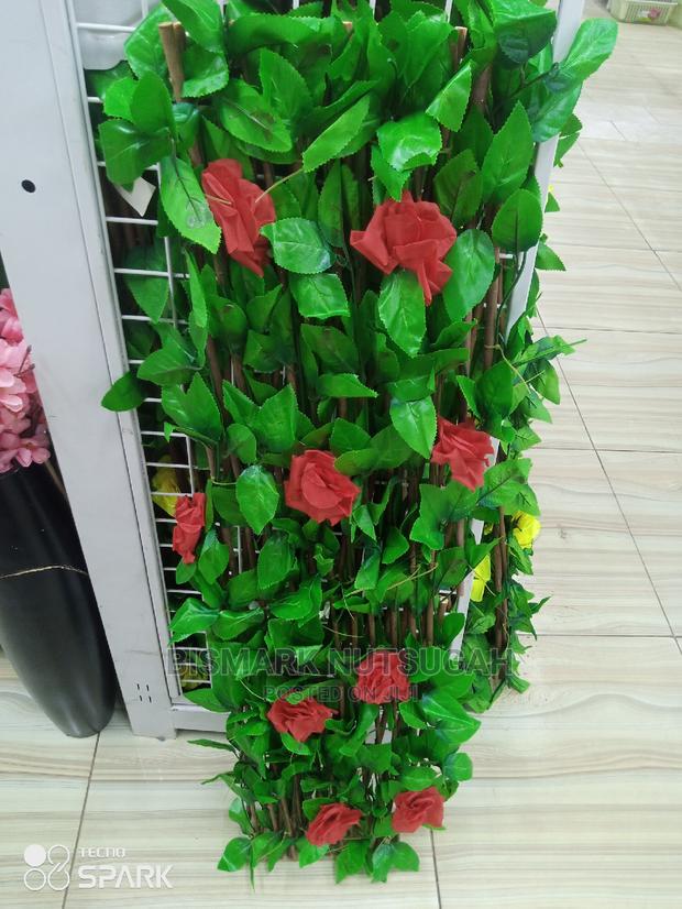 Flower for Sale · Photo 5