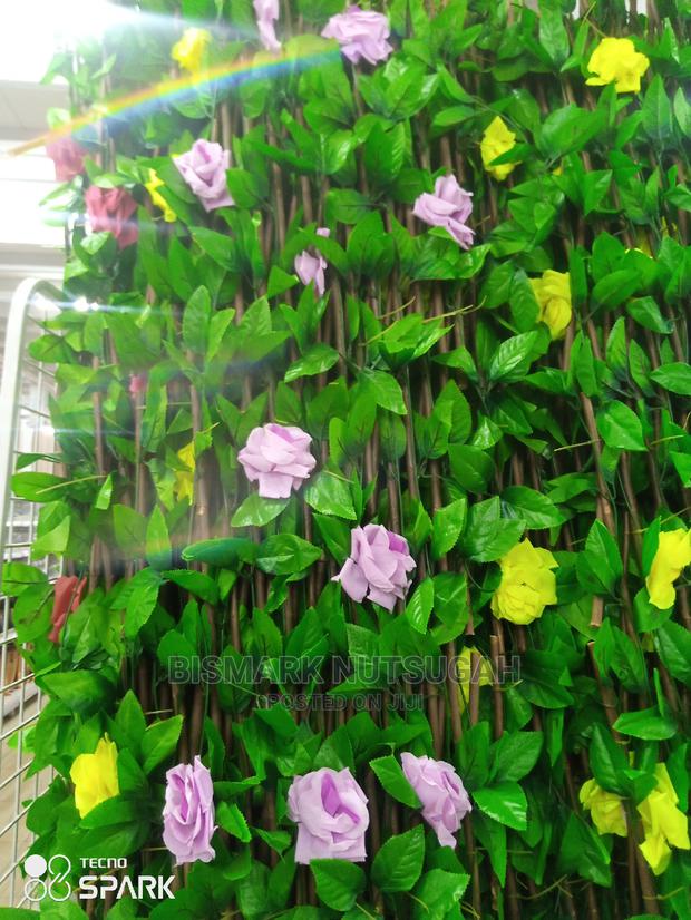 Flower for Sale · Photo 6