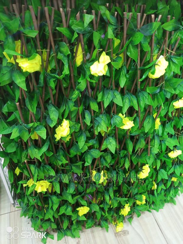 Flower for Sale · Photo 4