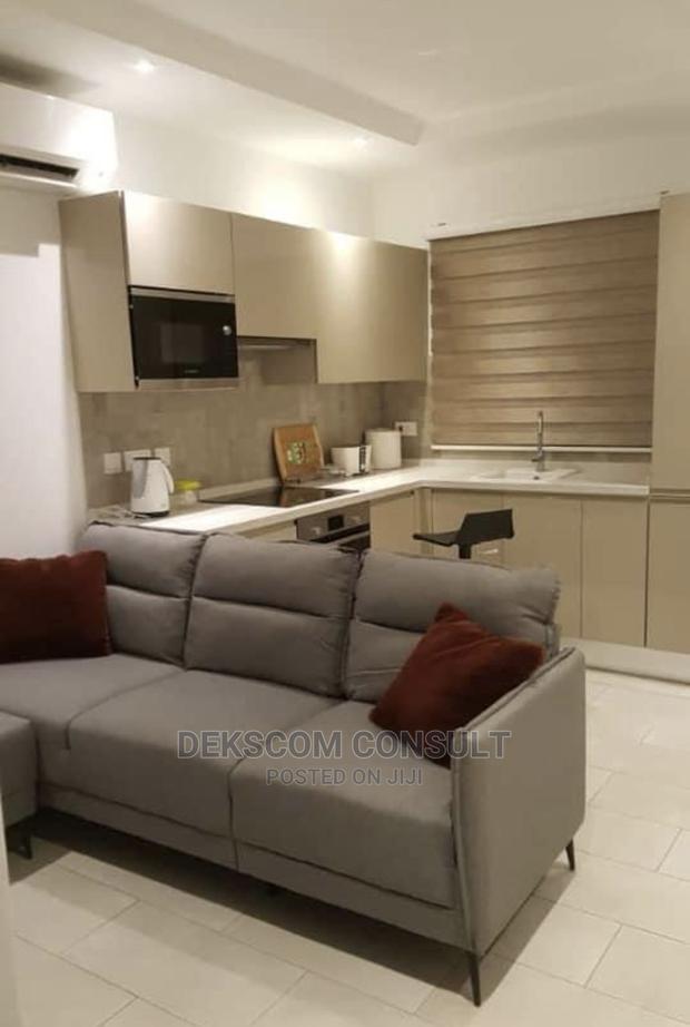 Furnished 1bdrm Apartment in Osu for rent · Photo 5