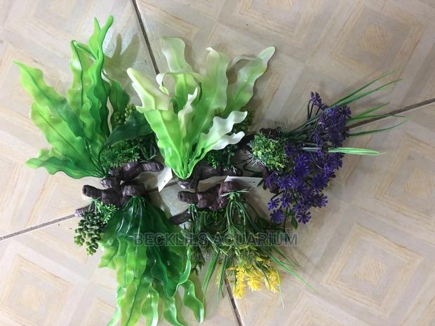 Aquarium Plants N Accessories · Photo 2