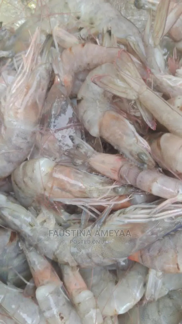 Fresh Clean Prawns and Shrimps · Photo 1