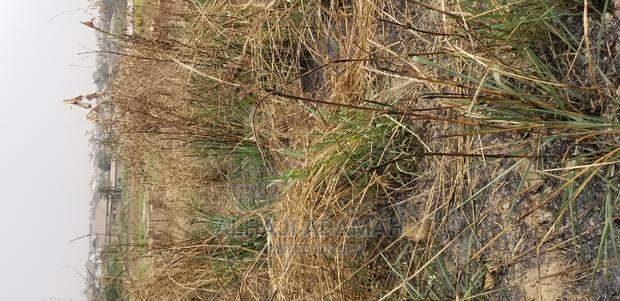 Land for Sale at Santa'si Darko · Photo 2