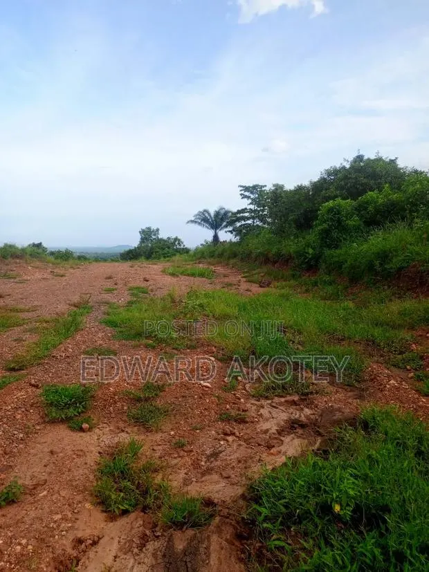Two Plots of Registered Land for Sale at UHAS · Photo 1