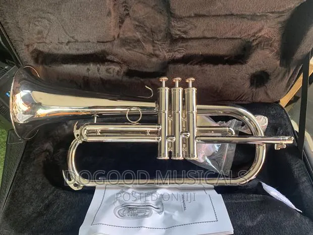 TITANIC(USA) Frugal Horn Trumpet · Photo 1