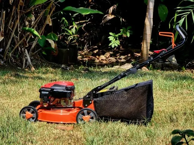 Loncin Self-Propelled Mower · Photo 1