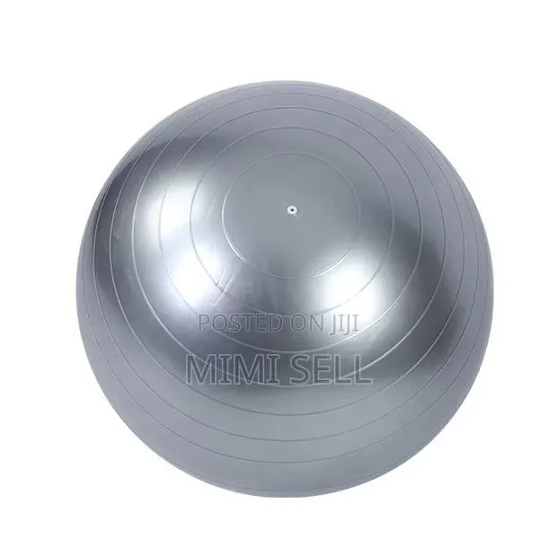 Gym Ball Exercise Workout · Photo 1