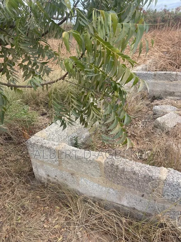 Registered Land for Sale · Photo 1