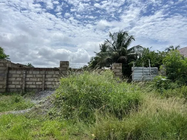 50/140 FTS of Land Walled and Gated