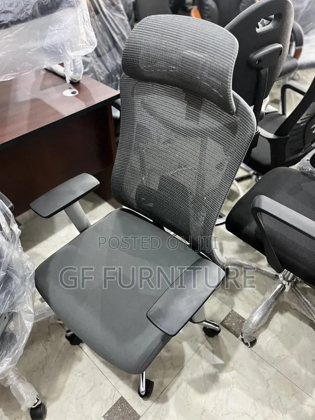 Ergonomic Chair With Lumbar Support and Headrest · Photo 1