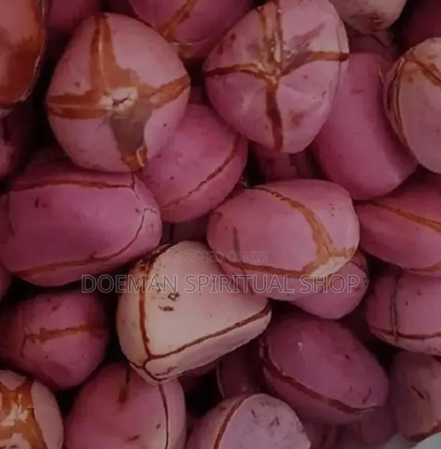 Cola Nut (Goro) · Photo 1