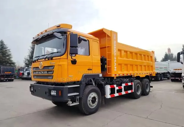 Shacman Ff3000 Dump Truck · Photo 1
