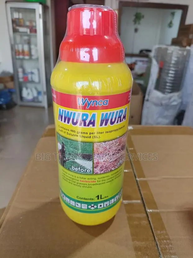 Nwura Wura · Photo 1