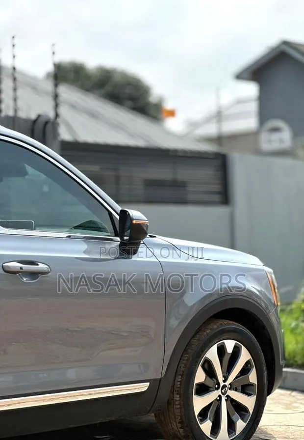 Kia Telluride 3.8 AWD 2021 Gray · Photo 1