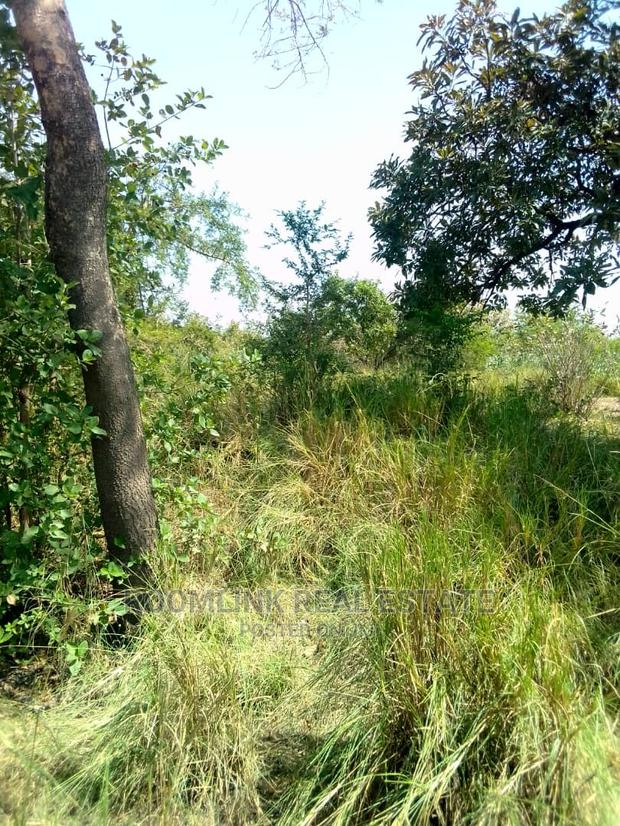 Farmlands Land at Kintampo · Photo 3