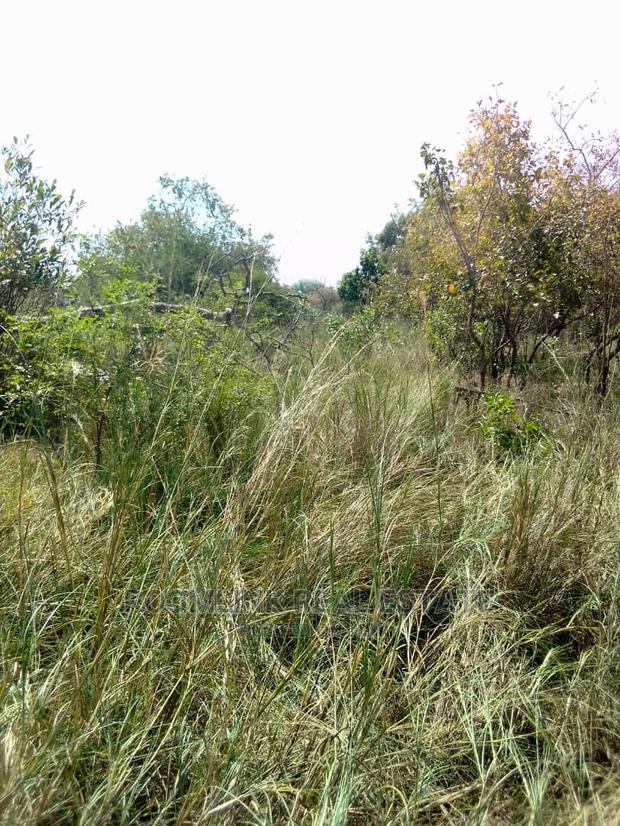 Farmlands Land at Kintampo · Photo 5