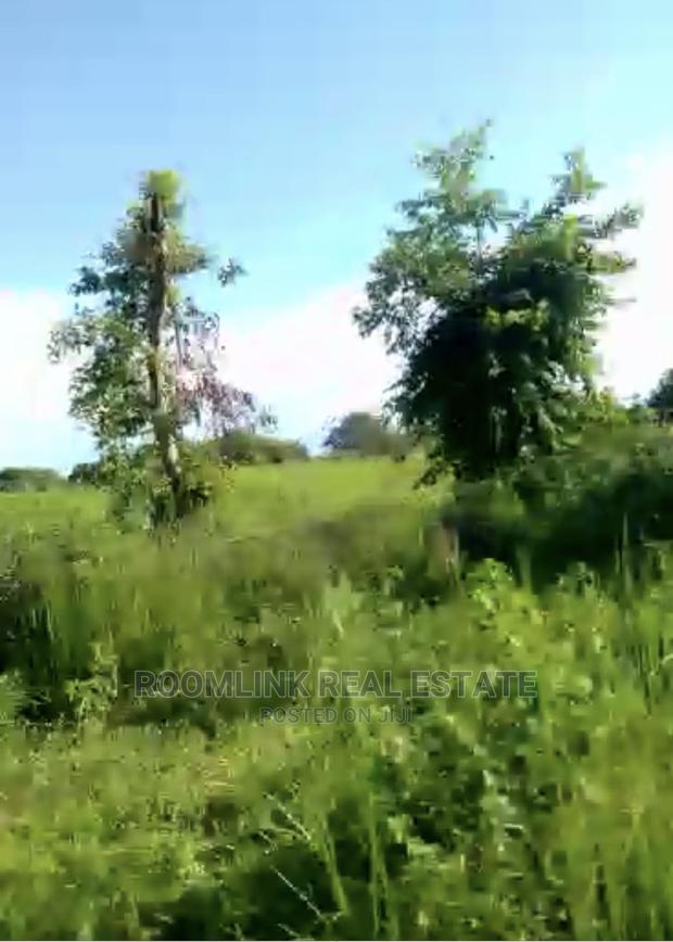 Farmlands Land at Kintampo · Photo 8
