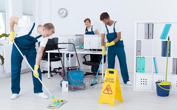 Professional Cleaning Services · Photo 1