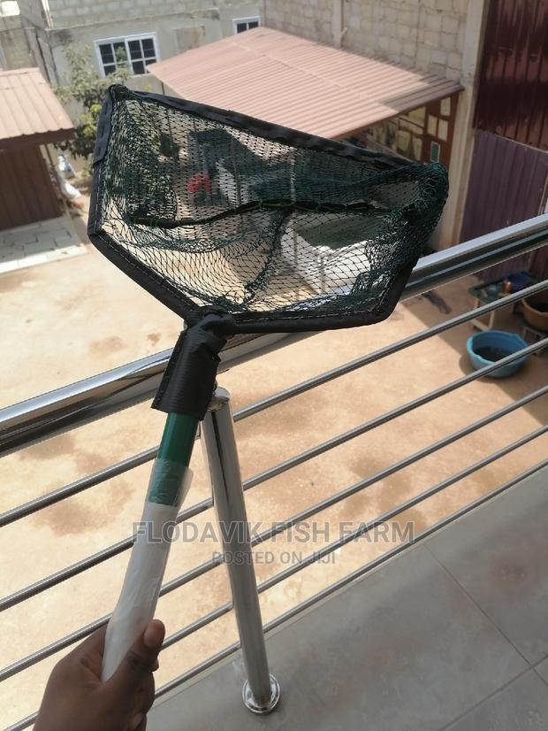Large Scooping Net · Photo 2