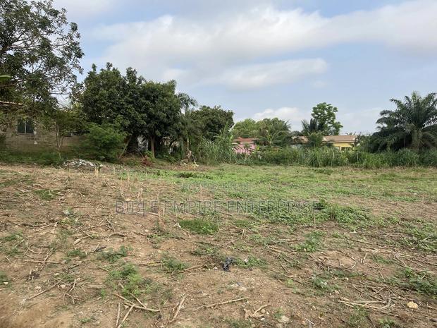 Genuine Land for-Sale. · Photo 4