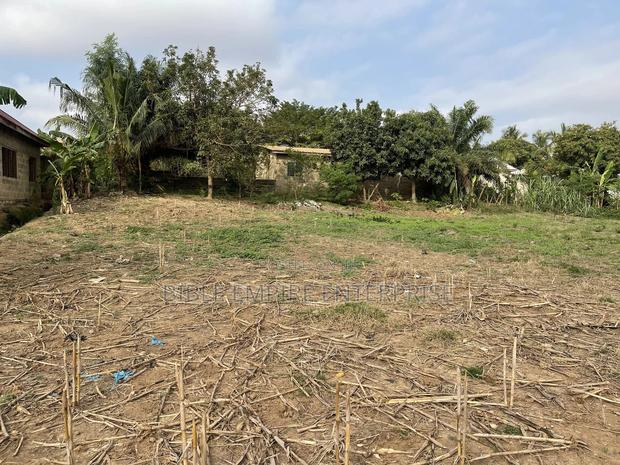 Genuine Land for-Sale. · Photo 5