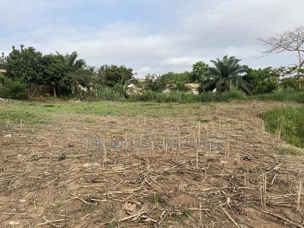 Genuine Land for-Sale. · Photo 7