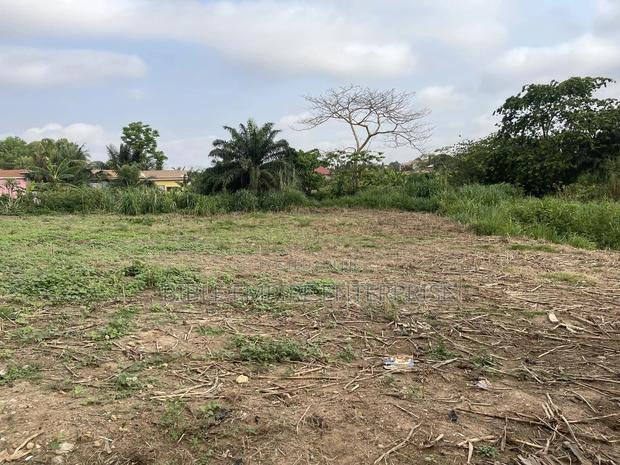 Genuine Land for-Sale. · Photo 3