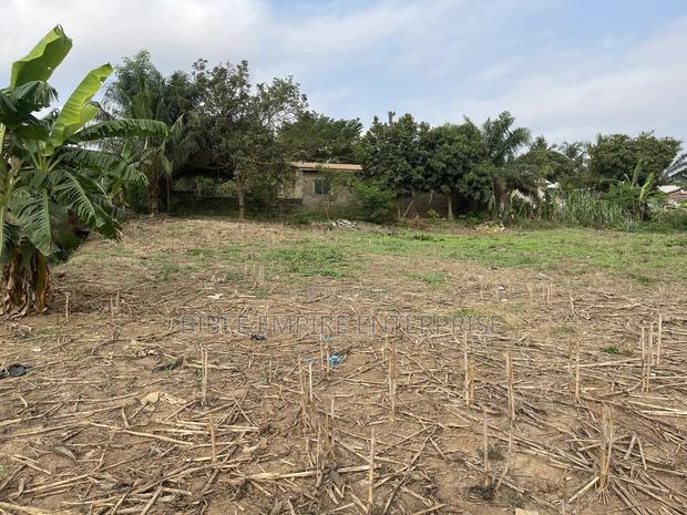 Genuine Land for-Sale. · Photo 8