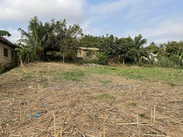 Genuine Land for-Sale. · Photo 6
