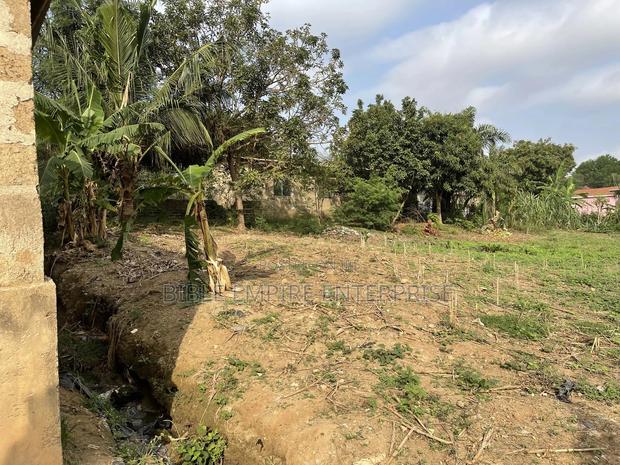 Genuine Land for-Sale. · Photo 2