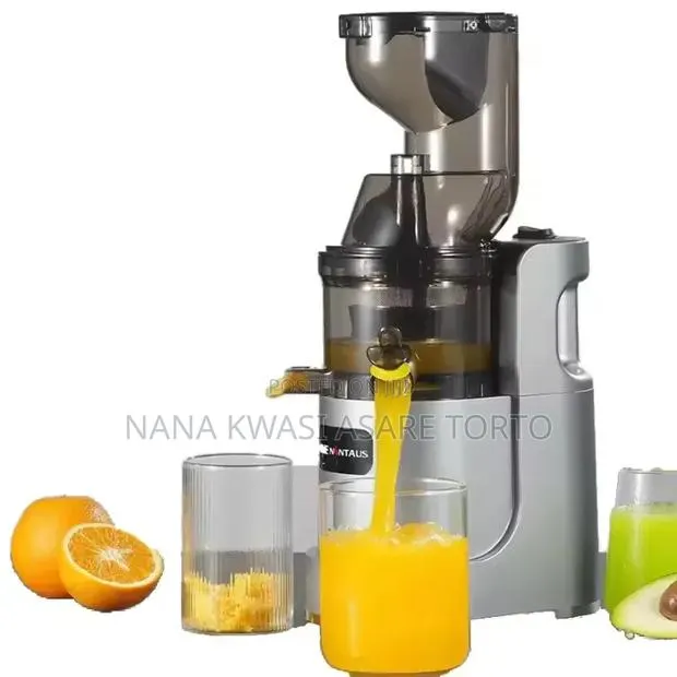 300W Quality Slow Juicer · Photo 1