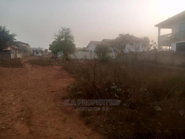 Land Letigation Free Land · Photo 3
