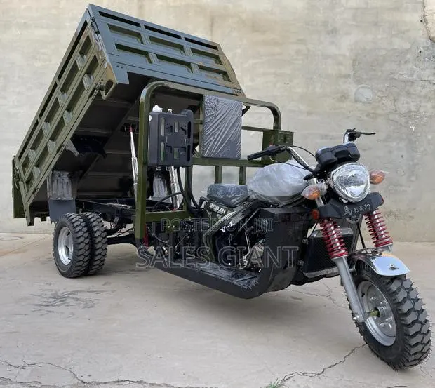New Tricycle 2024 Blue · Photo 1