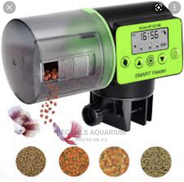 Quality Automatic Feeder · Photo 1