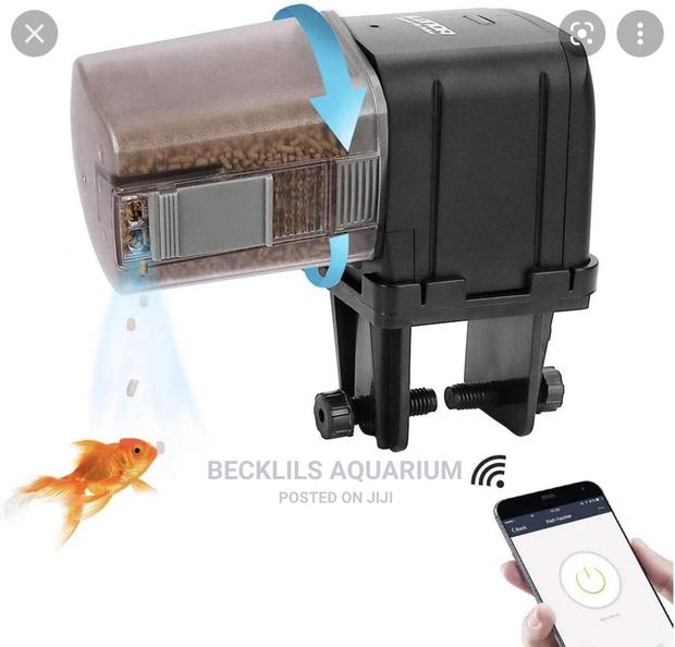 Quality Automatic Feeder · Photo 3