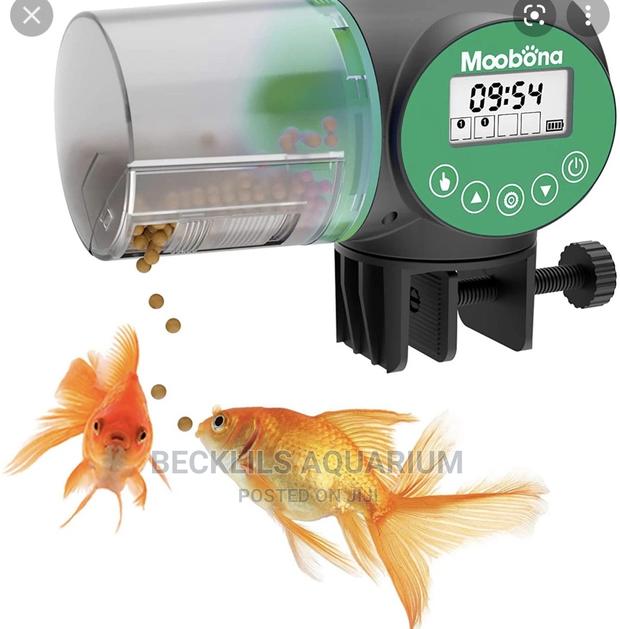 Quality Automatic Feeder · Photo 2