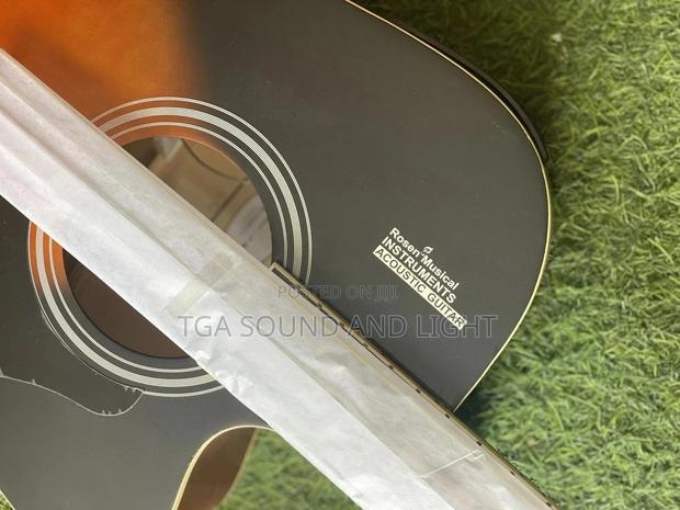 Rosen Semi-Acoustic Guitar With Bag, Strap, Capo and String · Photo 4